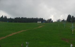 Zieleniec PTZ #2 - 03-05-2025 14:07