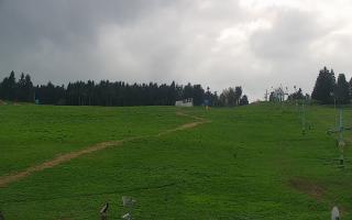 Zieleniec PTZ #2 - 03-05-2025 14:14