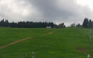 Zieleniec PTZ #2 - 03-05-2025 14:22