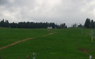 Zieleniec PTZ #2 - 03-05-2025 14:30
