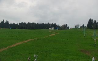 Zieleniec PTZ #2 - 03-05-2025 14:38