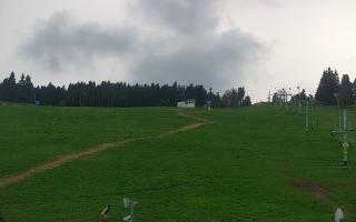 Zieleniec PTZ #2 - 03-05-2025 14:45