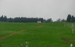 Zieleniec PTZ #2 - 04-05-2025 06:18
