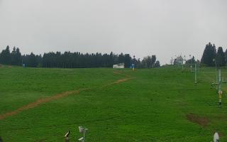 Zieleniec PTZ #2 - 04-05-2025 06:25