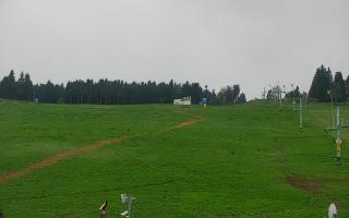 Zieleniec PTZ #2 - 04-05-2025 06:33