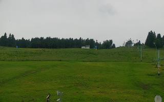 Zieleniec PTZ #2 - 16-06-2025 16:04