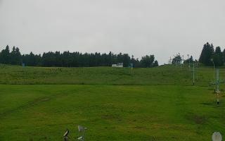 Zieleniec PTZ #2 - 16-06-2025 16:11