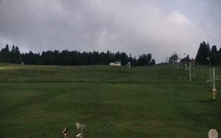 Zieleniec PTZ #2 - 17-06-2025 01:49