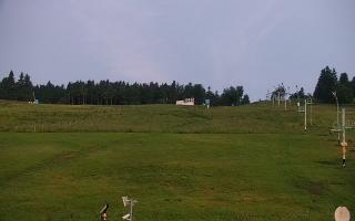 Zieleniec PTZ #2 - 17-06-2025 02:05