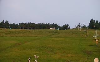 Zieleniec PTZ #2 - 17-06-2025 02:12