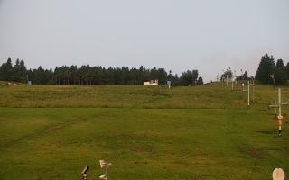 Zieleniec PTZ #2 - 17-06-2025 02:20