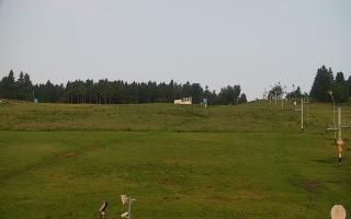 Zieleniec PTZ #2 - 17-06-2025 02:28