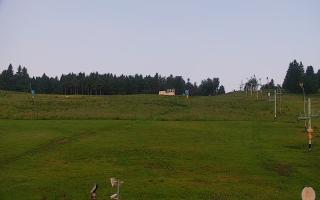 Zieleniec PTZ #2 - 17-06-2025 02:43