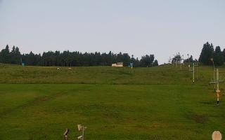 Zieleniec PTZ #2 - 17-06-2025 02:51