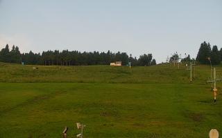 Zieleniec PTZ #2 - 17-06-2025 03:06