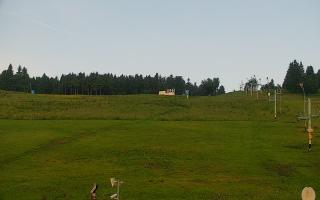 Zieleniec PTZ #2 - 17-06-2025 03:14