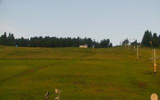 Zieleniec PTZ #2 - 17-06-2025 03:29