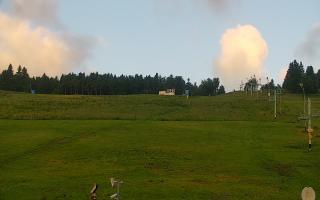 Zieleniec PTZ #2 - 17-06-2025 03:45