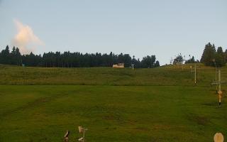 Zieleniec PTZ #2 - 17-06-2025 03:53