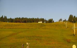 Zieleniec PTZ #2 - 17-06-2025 04:00