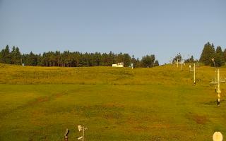 Zieleniec PTZ #2 - 17-06-2025 04:08