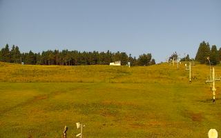 Zieleniec PTZ #2 - 17-06-2025 04:16