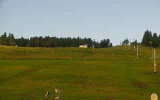 Zieleniec PTZ #2 - 17-06-2025 04:23
