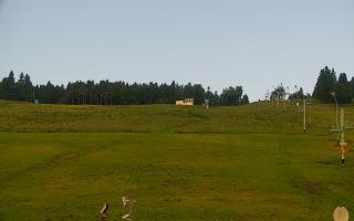 Zieleniec PTZ #2 - 17-06-2025 04:31