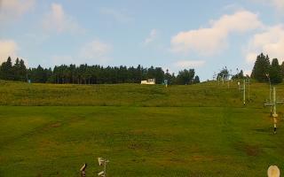 Zieleniec PTZ #2 - 17-06-2025 05:10