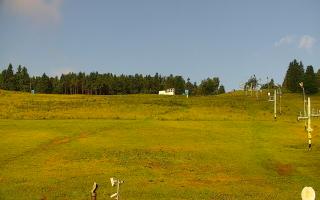 Zieleniec PTZ #2 - 17-06-2025 05:33