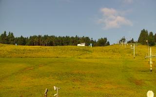 Zieleniec PTZ #2 - 17-06-2025 05:40