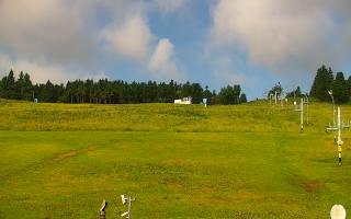 Zieleniec PTZ #2 - 17-06-2025 05:48