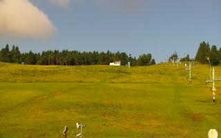 Zieleniec PTZ #2 - 17-06-2025 05:56