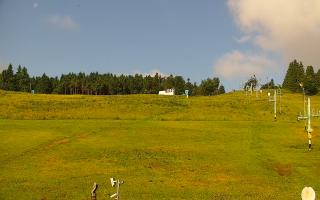 Zieleniec PTZ #2 - 17-06-2025 06:04