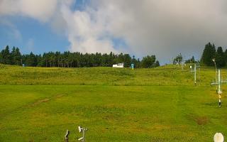 Zieleniec PTZ #2 - 17-06-2025 06:11