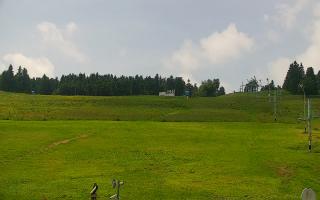 Zieleniec PTZ #2 - 18-06-2025 10:20