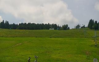 Zieleniec PTZ #2 - 18-06-2025 10:27