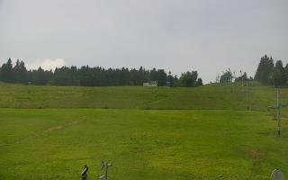 Zieleniec PTZ #2 - 18-06-2025 10:35