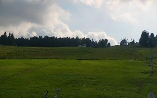 Zieleniec PTZ #2 - 18-06-2025 14:42