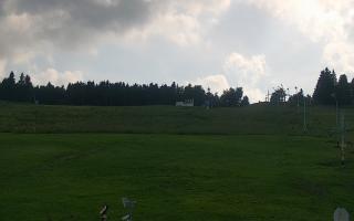 Zieleniec PTZ #2 - 18-06-2025 14:49