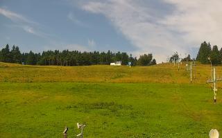 Zieleniec PTZ #2 - 13-07-2025 07:34