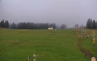 Zieleniec PTZ #2 - 02-08-2025 02:56