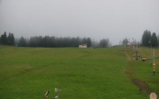 Zieleniec PTZ #2 - 02-08-2025 03:12