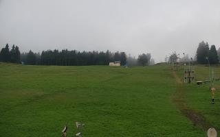 Zieleniec PTZ #2 - 02-08-2025 03:19