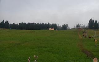 Zieleniec PTZ #2 - 02-08-2025 03:27