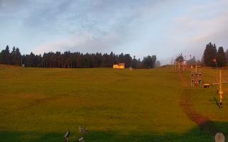 Zieleniec PTZ #2 - 02-08-2025 03:42
