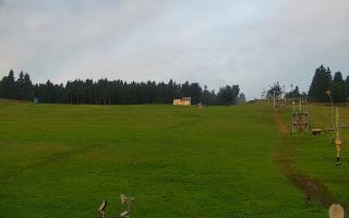 Zieleniec PTZ #2 - 02-08-2025 03:58