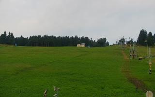 Zieleniec PTZ #2 - 02-08-2025 04:21