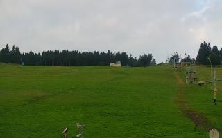 Zieleniec PTZ #2 - 02-08-2025 04:29