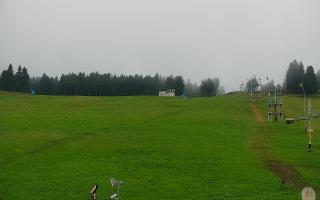 Zieleniec PTZ #2 - 02-08-2025 04:44